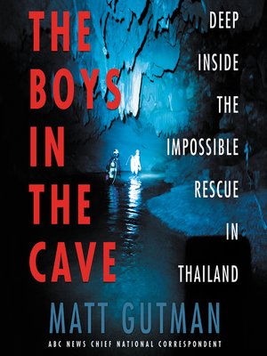 cover image of The Boys in the Cave